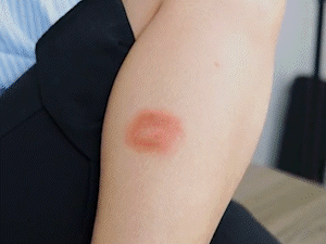 5012bb34-c141-4721-a389-6c0797ea725b.gif
